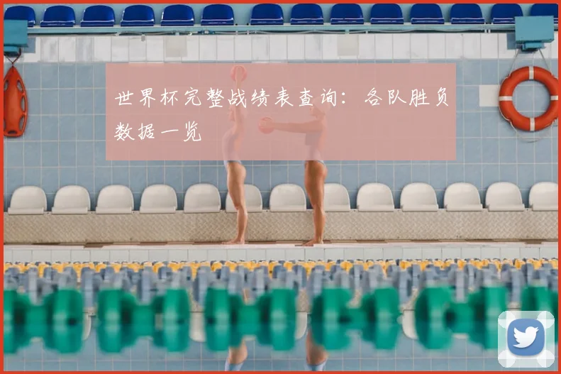 世界杯完整战绩表查询：各队胜负数据一览