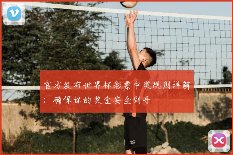 官方发布世界杯彩票中奖规则详解：确保你的奖金安全到手