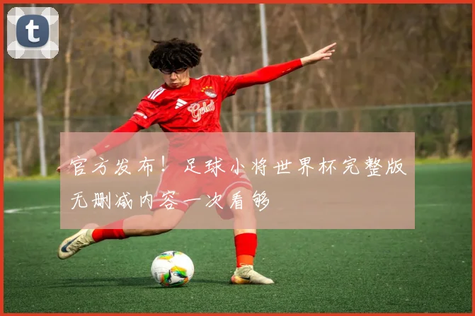 官方发布！足球小将世界杯完整版无删减内容一次看够