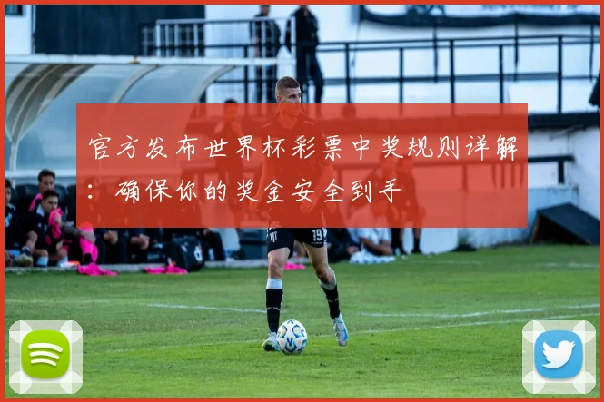 官方发布世界杯彩票中奖规则详解：确保你的奖金安全到手